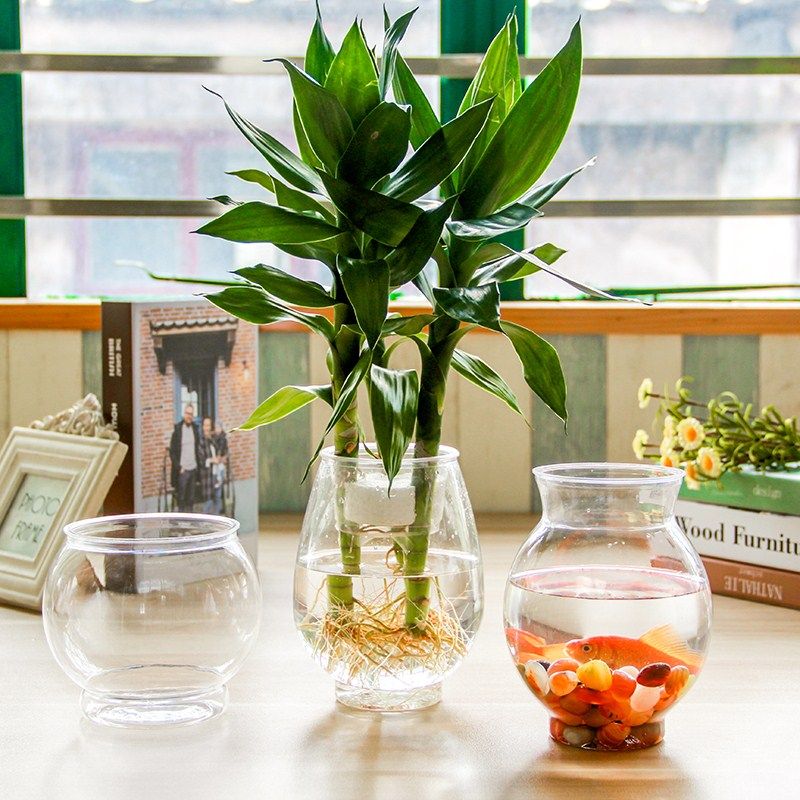 极速透明水培塑料花瓶绿萝水生z植物植物容器适于室内摆放桌面花