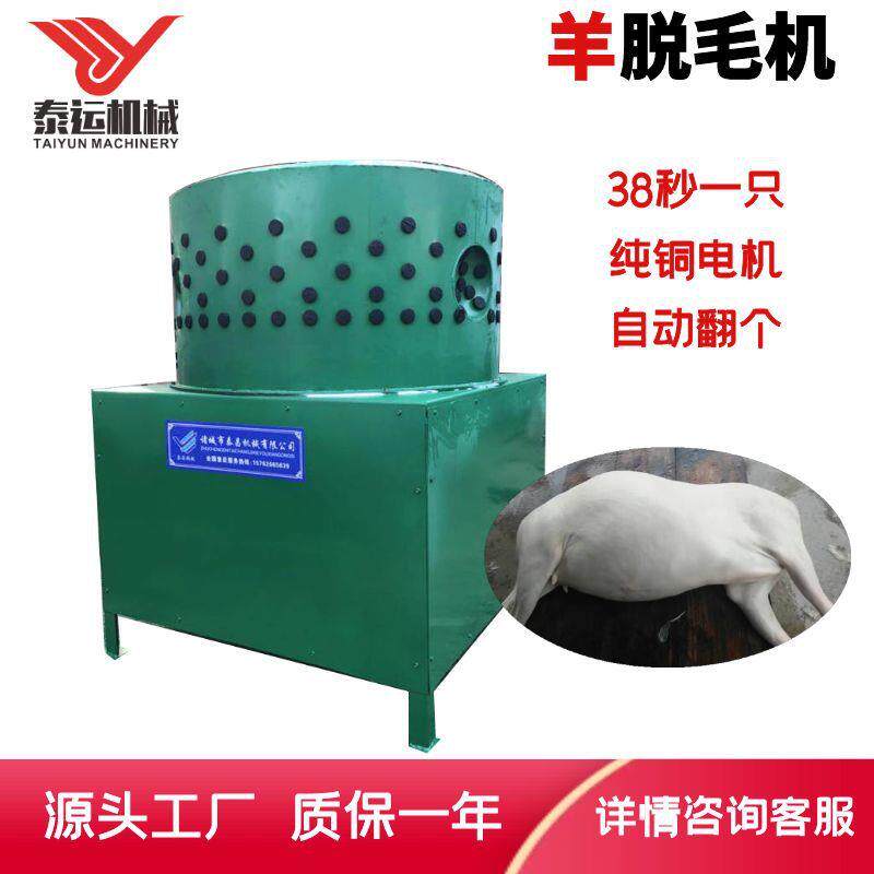 羊脱毛机大型羊狗脱毛机杀羊用脱毛设备圆筒山羊绵羊打毛去毛机器