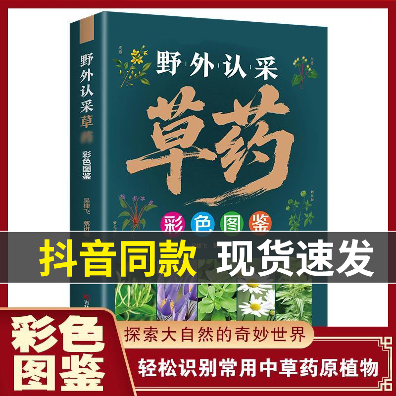 【正版】野外认采草药彩色图鉴 中草药彩色图鉴高清精编野外认采160种中草配比 实用好学易上手图解简单快速认药中医入门草药大全