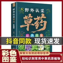 【正版】野外认采草药彩色图鉴 中草药彩色图鉴高清精编野外认采160种中草配比 实用好学易上手图解简单快速认药中医入门草药大全