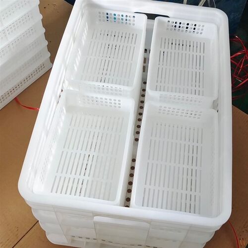 热销蓝莓c采摘筐白色镂空中转筐运输筐水果周转塑料套框桑葚筐厂