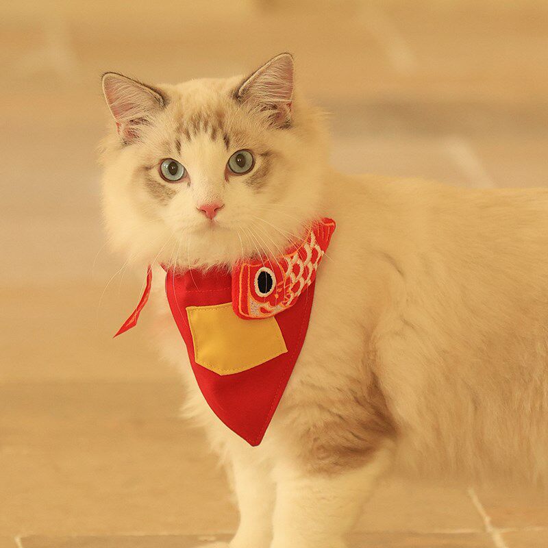 猫咪围兜口水巾狗狗围脖三角巾y红色可爱装饰品宠物衣服项圈猫围
