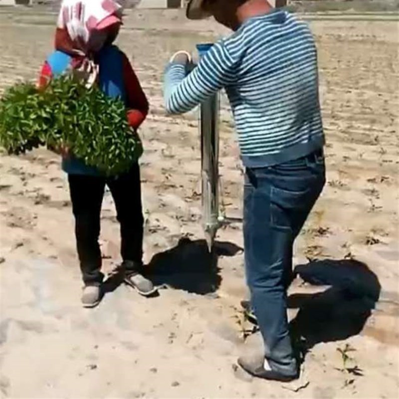 热销移苗播种机不锈钢种菜器点播器点H播器机开口器栽苗施肥移栽