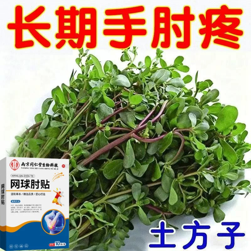 网球肘】关节疼痛胳膊肘手臂酸痛无力抬臂困难活动受限网球护肘贴