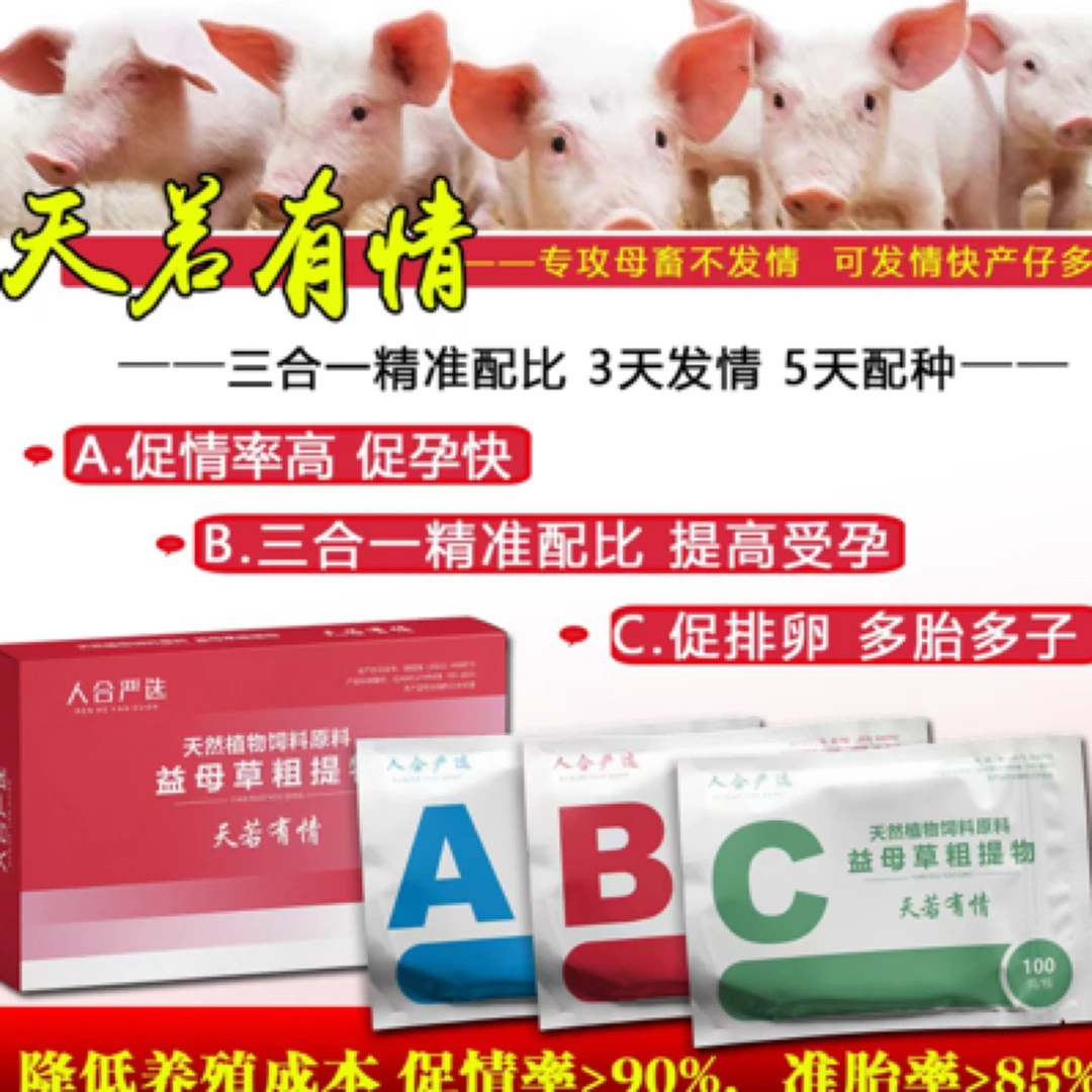 天若有情母猪一盒3袋