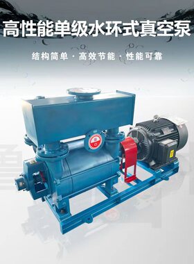 2BE202水环式真空泵大气量水环真空泵不锈钢真空泵 鲁中牌化工