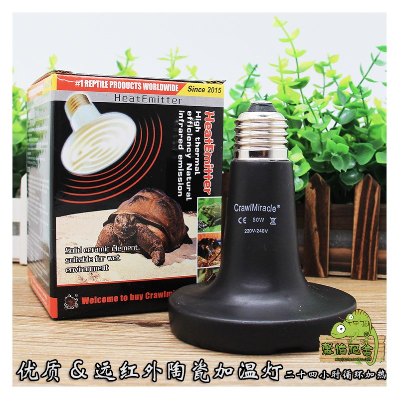 新品迷你陶瓷加热灯陆龟箱饲w养箱爬虫蜥蜴夜灯日灯保温灯爬箱陶