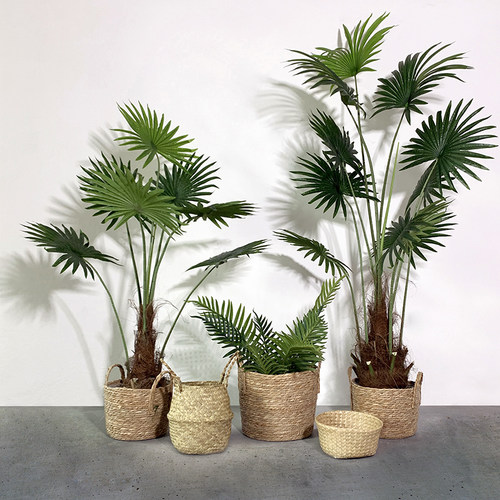 新品大型仿真植物造景棕榈树扇葵北欧风格落地摆件假X绿植室内装