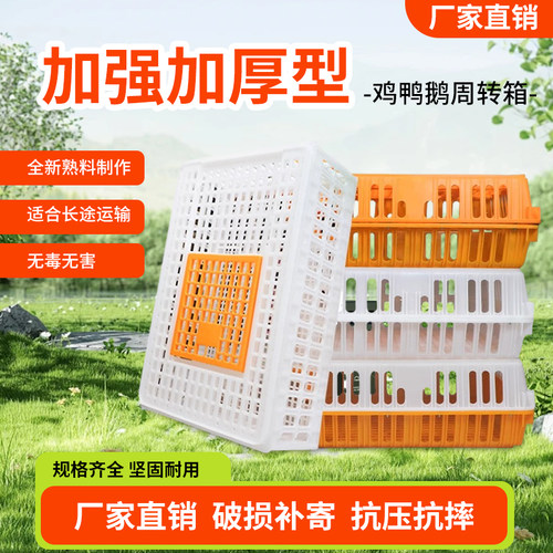 鸡笼周转箱大号特大筐