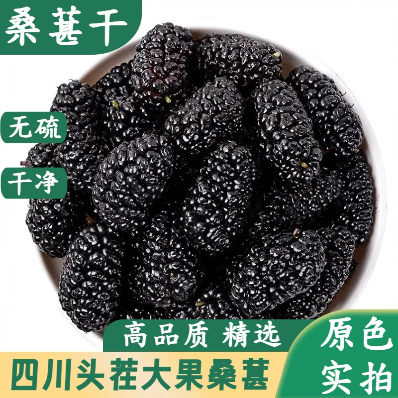 桑葚干果中药材正品桑葚干女贞子