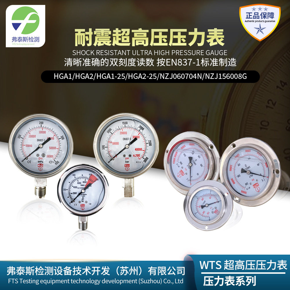 高压耐震压力表NZJ-103008G数字压力表充油抗震法兰边面板背接式