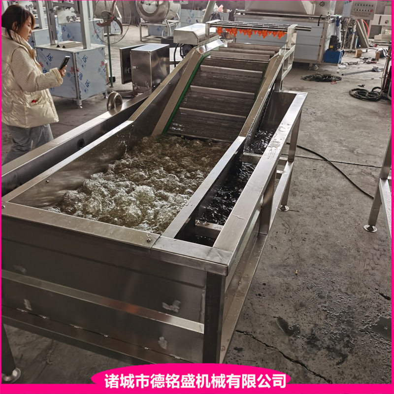 小龙虾清洗流水线 连续式生菜气泡清洗机 洗圣女果樱桃设备