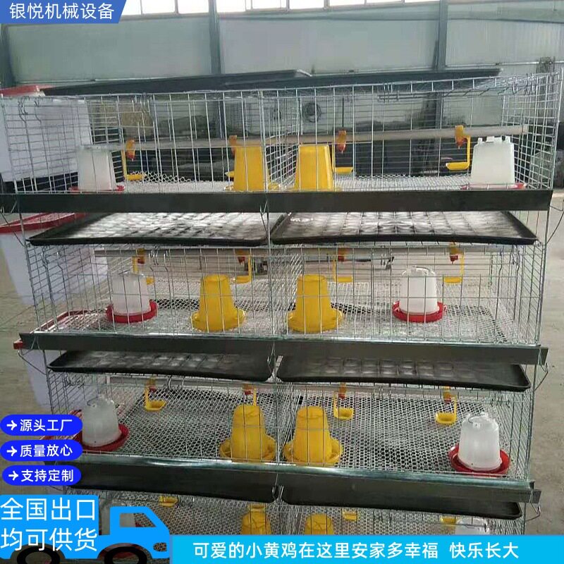 厂家批发 直销 供应小鸡笼子 鸡笼层叠 小鸡笼 鸡笼框架 育雏鸡笼