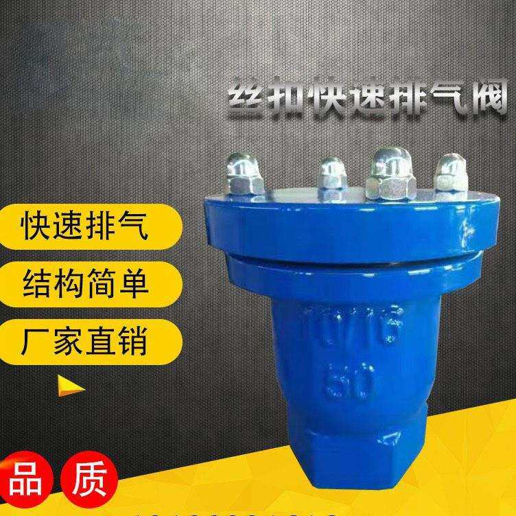 P11X丝扣快速排气阀球墨铸铁排气阀微量丝扣自动排气阀