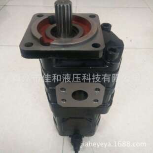 01010 载机工作泵P3100 54A010000A0临工装 9G662