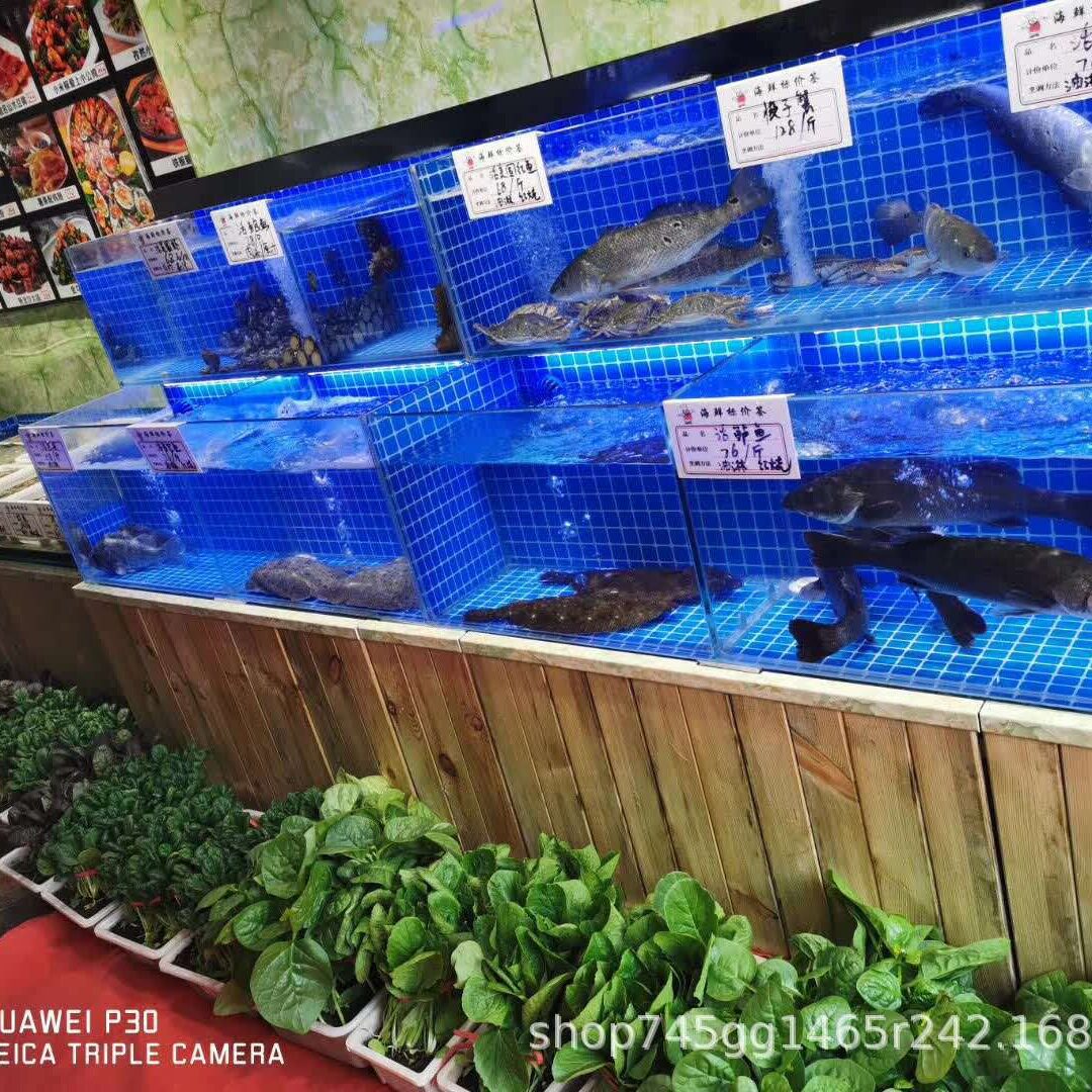 海鲜池 贝类缸 酒店鱼缸 热弯鱼缸 景观缸 钢化玻璃制作安装