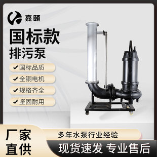排污泵132KW4 地下室泵站集水坑水泵源头工厂 6级污水提升器滑轨式