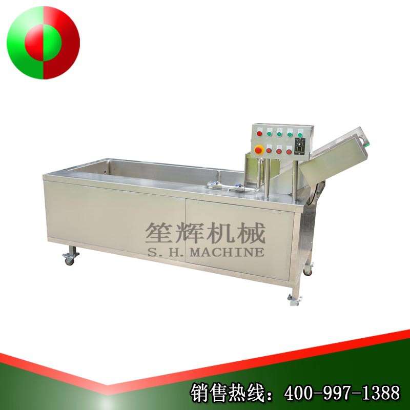 不锈钢 粉藕厚皮菜漂烫机藕婆罗门参臭氧清洗机 OEM