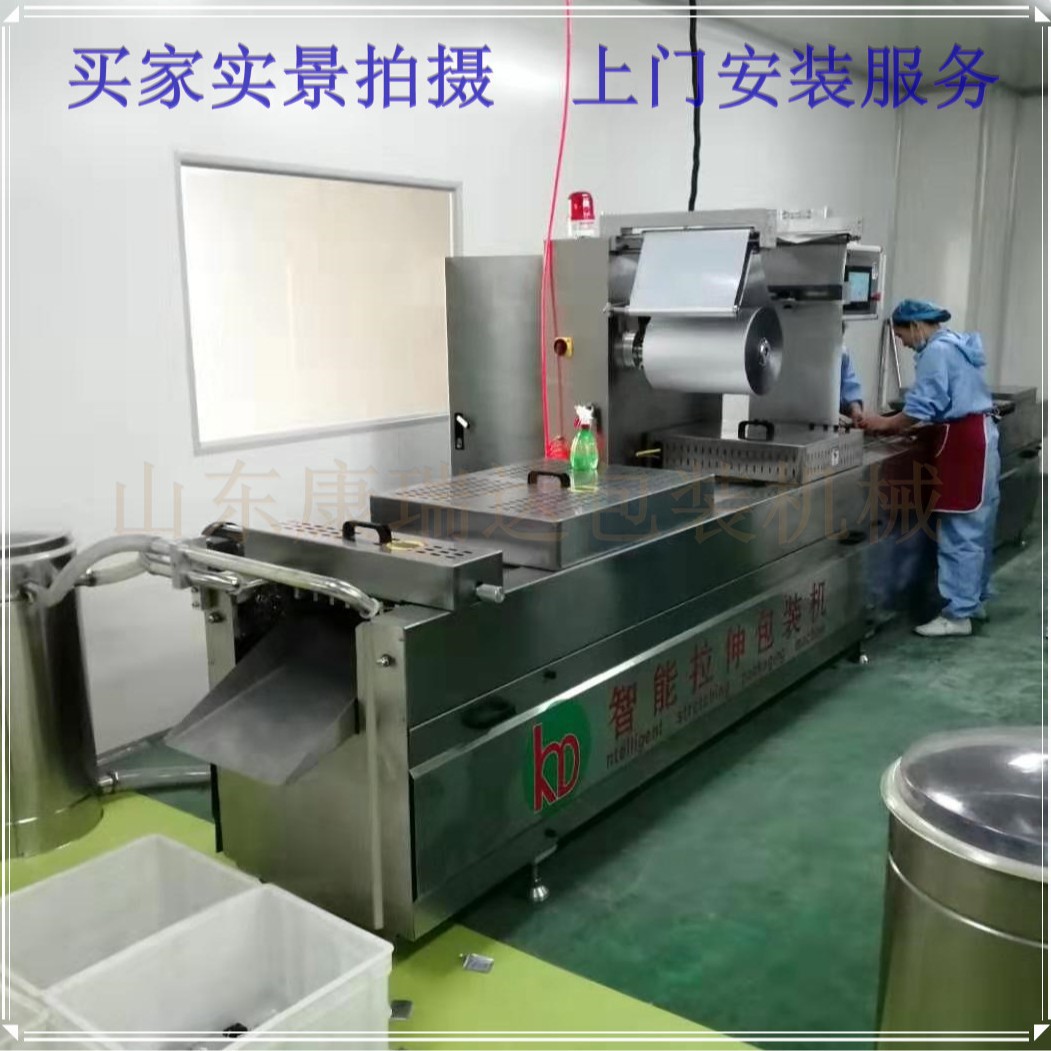奶酪芝士热成型机 奶酪球红肠自动拉伸膜连续式真空包装机