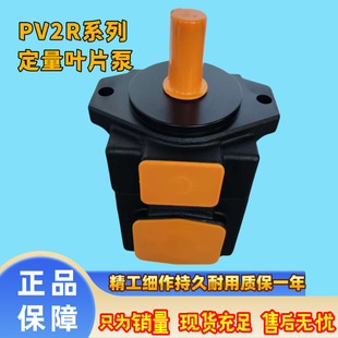 性价比超高超静音p v2r3系列油泵注塑机弯管机液压站叶片泵液压泵