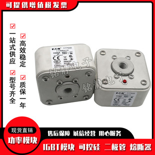 170M6418 170M6420巴斯曼熔断器现货170M6421型号齐全 170M6419