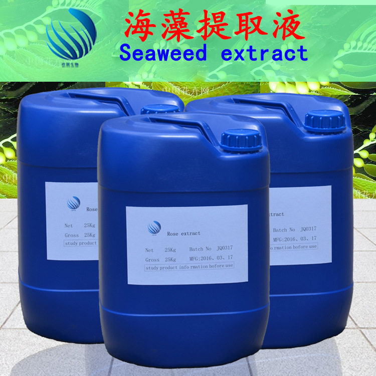 批发供应植物提取液 海藻提取液