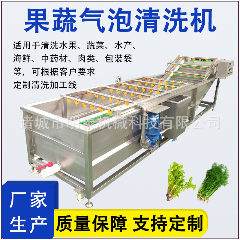 白茅根鼓泡清洗机 鱼腥草折耳根清洗风干线 脐橙果蔬气泡清洗机