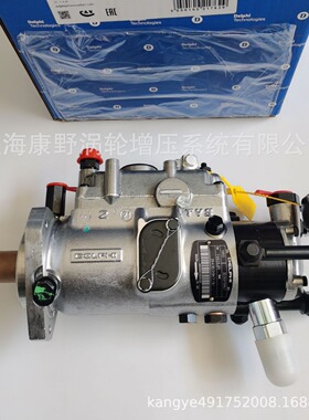 油泵2643B319 V3230F580T V3230F586T和V3230F570T-576T 2643B317