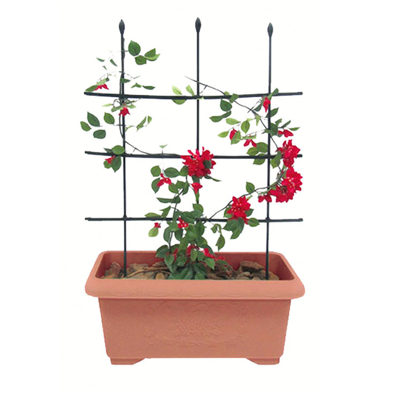 花盆阳台铁线莲攀爬架藤本植物花架园艺花架绿萝支撑支架户外