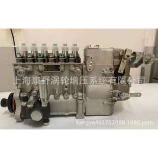 原装 喷油泵1002574B6P460B和B6P462B和B4PN411F1E和B6HD1845