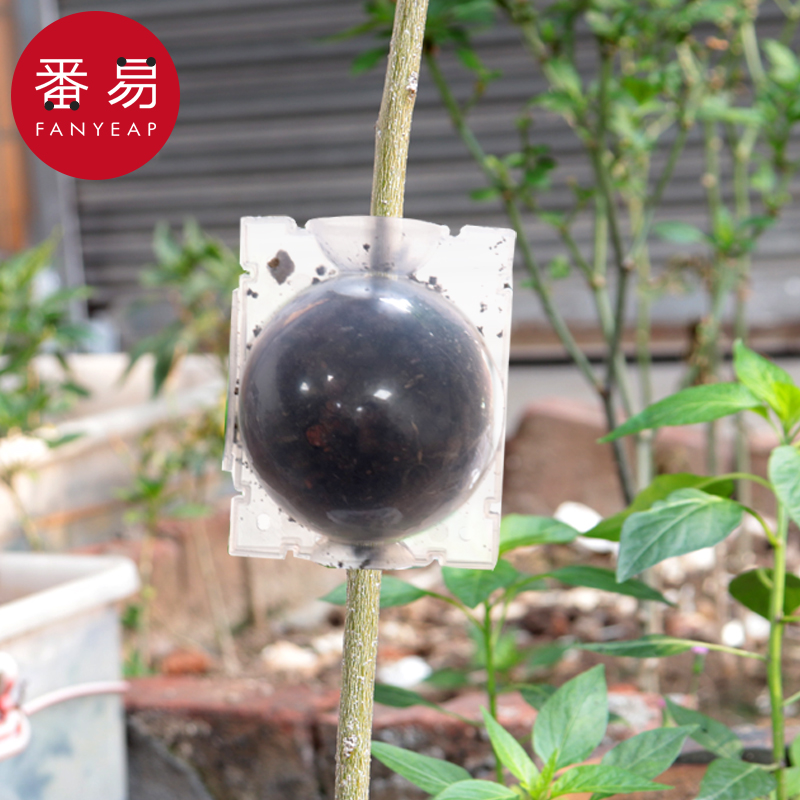 植物繁殖盒A1ZO-植物高压嫁接盒繁殖球生根包控根扦插育苗透明