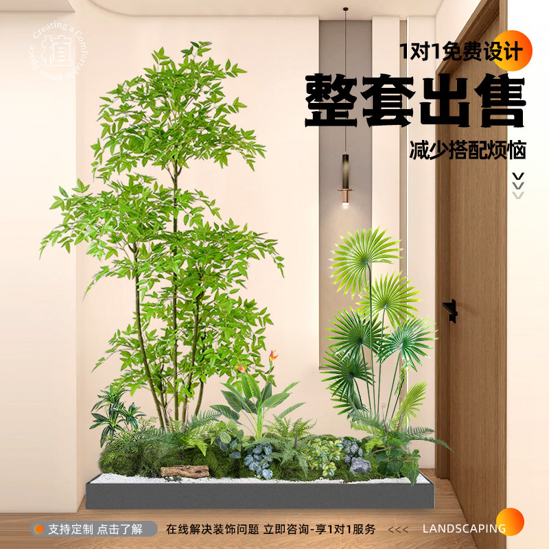 速发景关造景绿植仿生装饰热带组合台室内玄观假植物造景