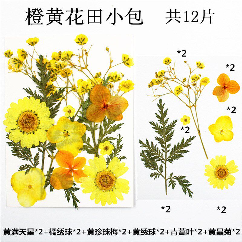 现货速发押花混合干花树叶包压花真花植物标本亲子手工滴胶干花材