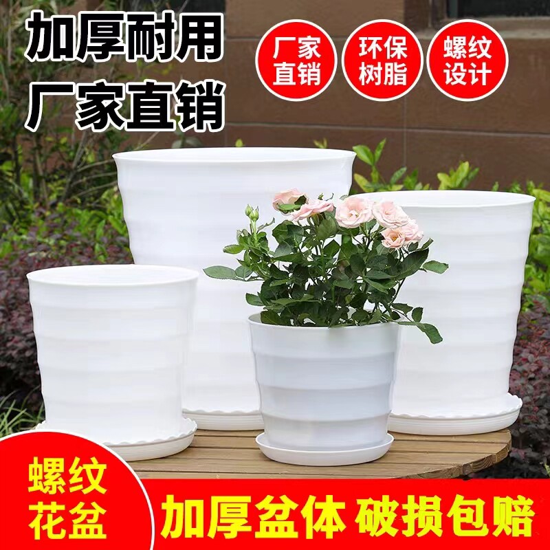 速发盆栽绿植花盆塑料大号树脂加厚百合花季绿萝月盆君子兰发财树