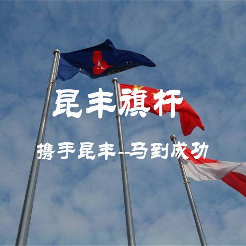 速发不锈钢旗1 户外 12米家5米18米 国旗旗杆 锥形旗杆 厂杆直销