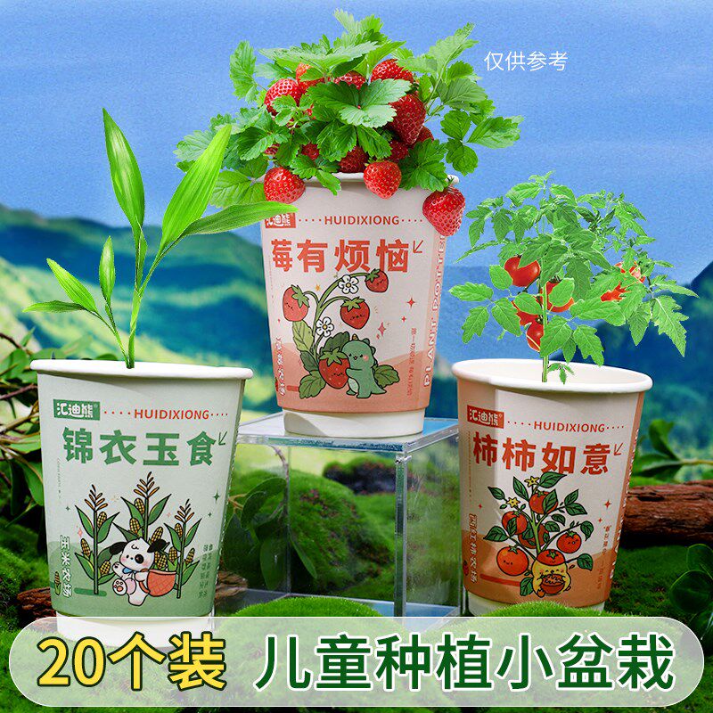 速发儿童植物盆栽绿面迷你桌植好养植意小盆栽种创草莓向日葵