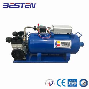 厂家车用直流空压机物美价廉DCZW0.055 24AC220V110V380V440V