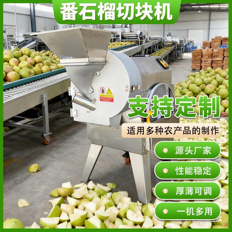 大型多功能番石榴切片机 不锈钢水果切片切丝机 商用水果切片设备