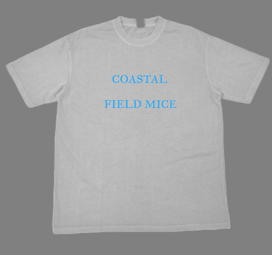 Field mice t恤shirt c86 indie pop sarah清新组合 Sea Urchins