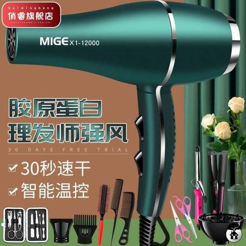 极速.吹风机理髲店大风发专用大功廊率350G0强风9000w大力风速干8