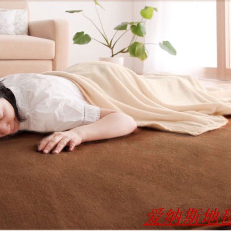 新品家用卧室珊瑚l绒纯色床边地毯可定制客厅茶几沙发瑜伽毯防滑