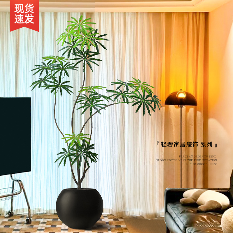 极速孔雀木绿植仿生盆栽仿真植物客厅落地造O景大型轻奢室内装饰