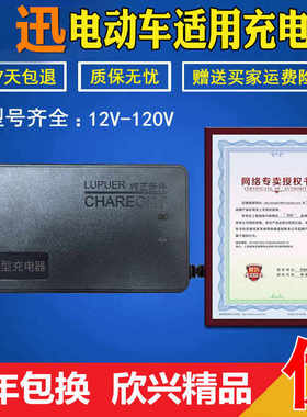 极速菲迅电动车适用充电j器24V48V12AH60V64V72V80V84V96V20AH通