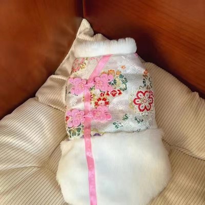 极速宠物衣服秋冬新款加绒保暖新年服唐装裙子泰T迪比熊狗狗猫咪
