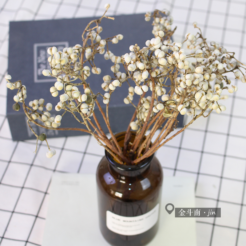 极速乌桕果干花真花装饰干枝x禅意软装造景摆设插花天然树枝小白