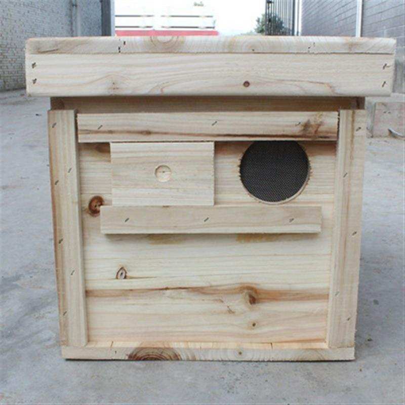 极速蜂箱蜜蜂中蜂箱套装煮蜡杉木蜜峰箱诱蜂T桶新款养蜂工具3