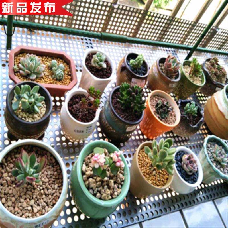 极速30bl4不锈钢冲孔板1mm微孔金属圆孔过滤网片冲孔铁板筛网洞洞