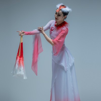 极速新款古典舞演l出服喜上眉梢秧歌同款舞蹈服扇子舞艺考独舞表