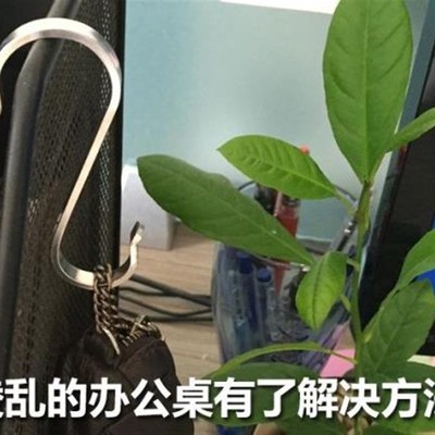 极速不锈钢厨房s型m挂钩多功能墙壁门后衣橱金属小号大号强力钩子