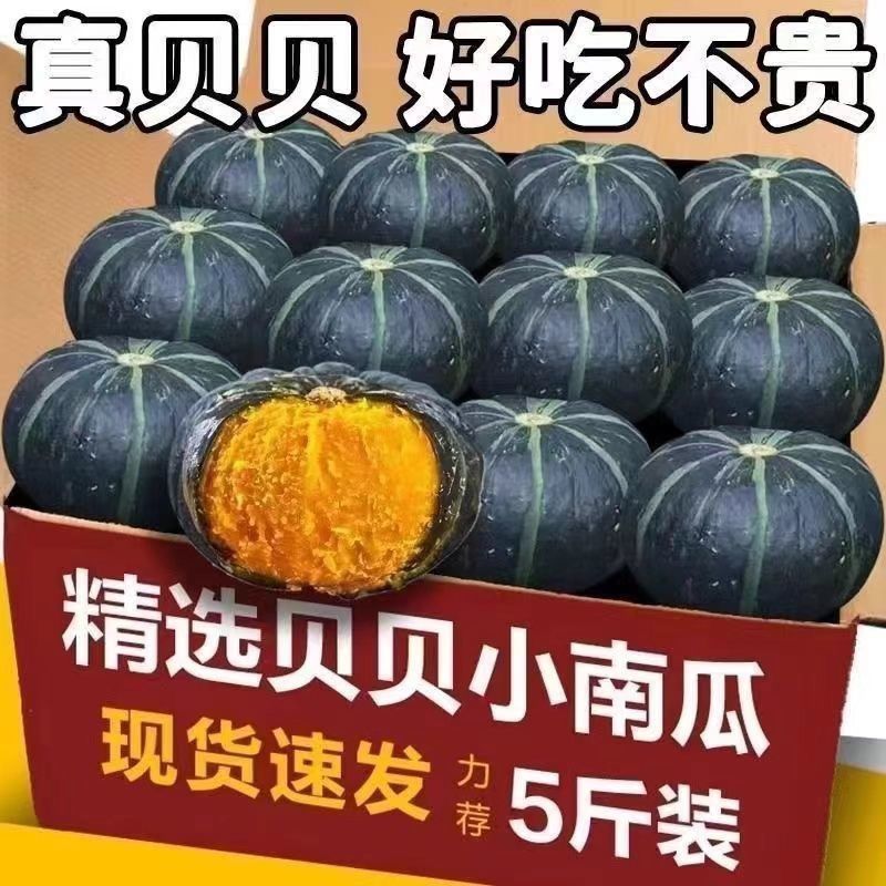 新品贝贝南瓜新鲜板栗南瓜现摘宝宝辅食甜糯5斤装